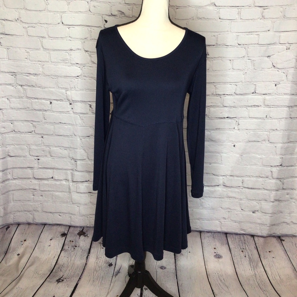 Express Tricot Blue Pullover Fit and Flare Long Sleeve Dress Medium